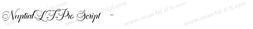 NuptialLTPro Script◆字体转换